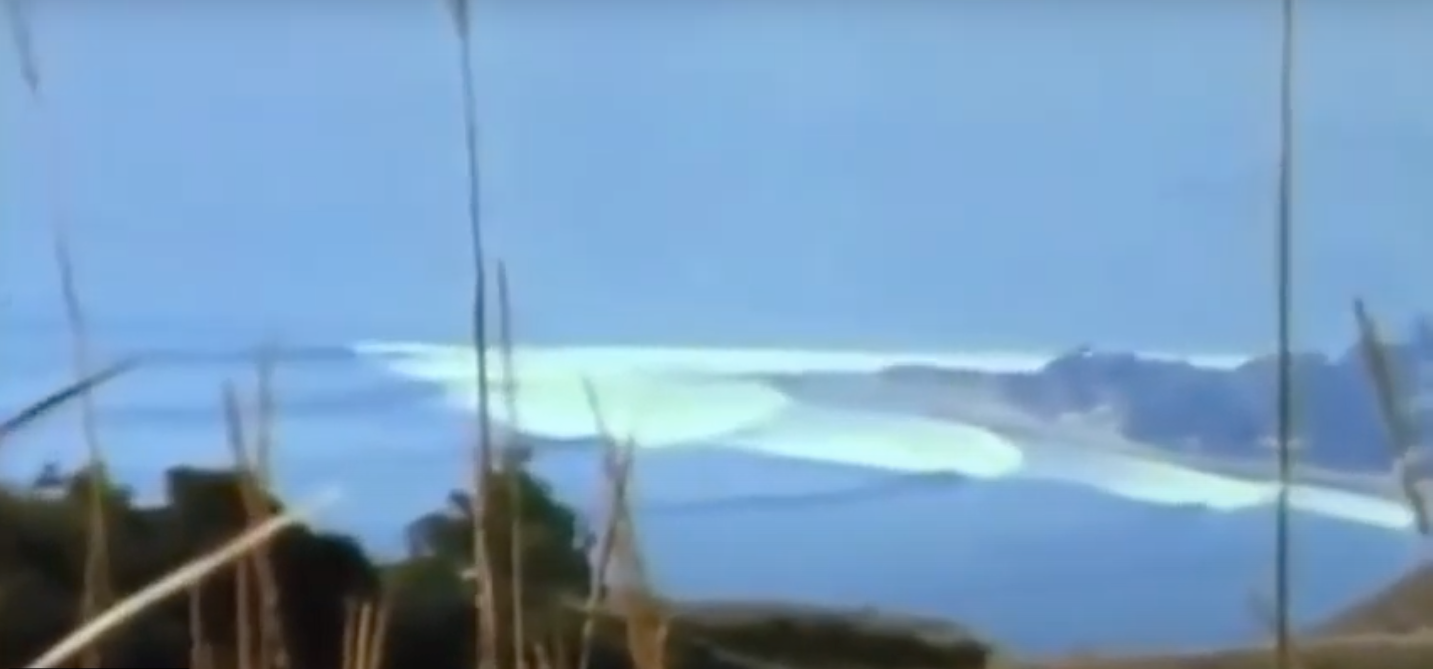 Rincon Point Swell of 1969