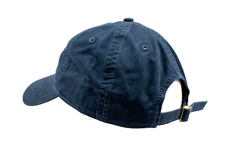 Santa Barbara Surf Shop Palms Dad Hat